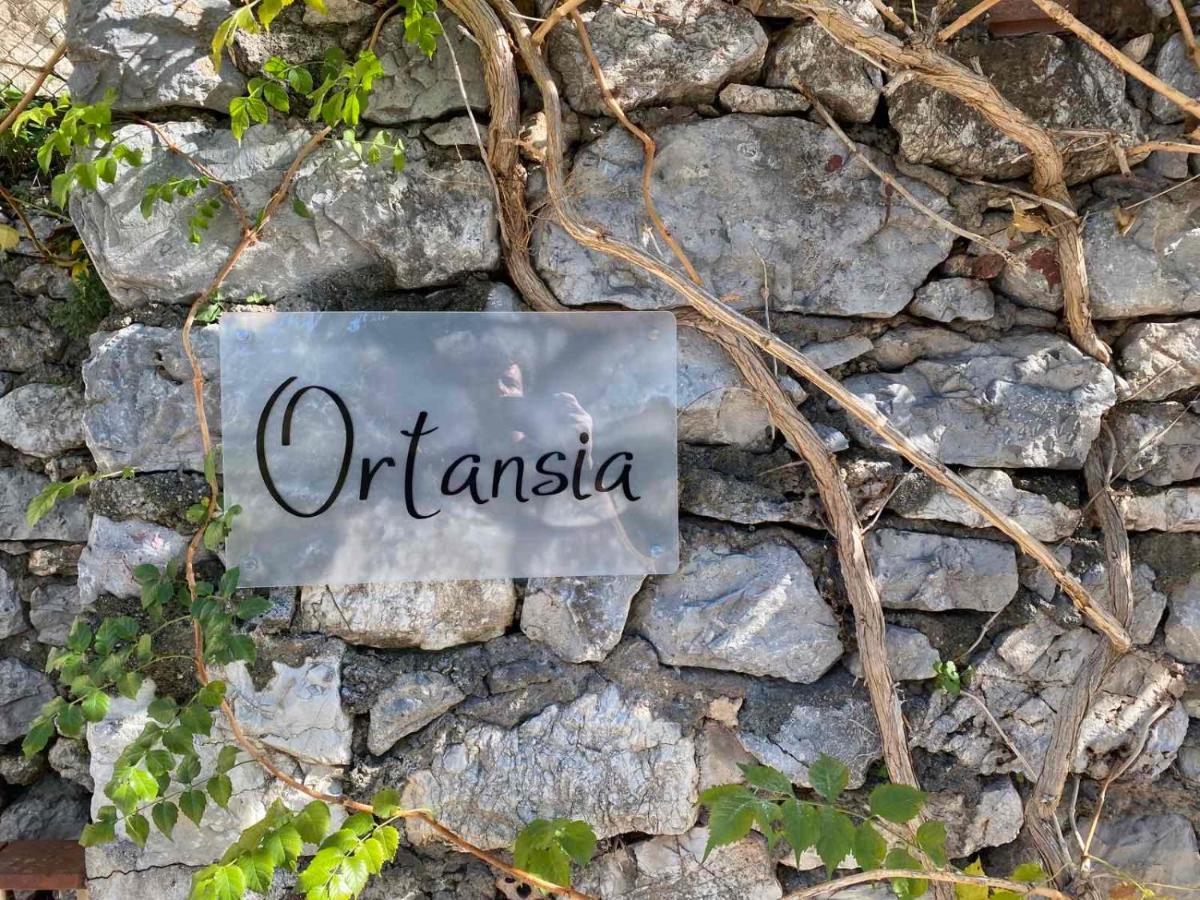 Апартаменты Ortansia Димицана Экстерьер фото